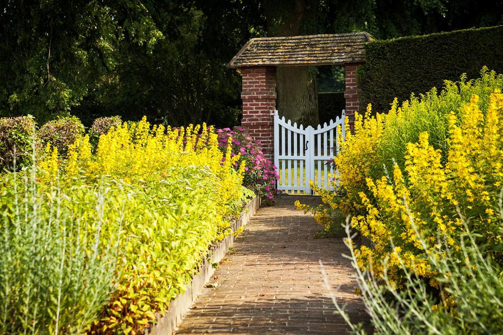Chateau De Bouelles Bed & Breakfast Neufchatel-en-Bray Luaran gambar